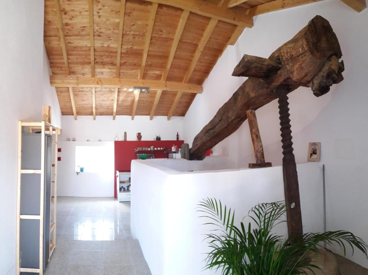 Quinta Quatro Ventos Bed and Breakfast Sertã Eksteriør billede