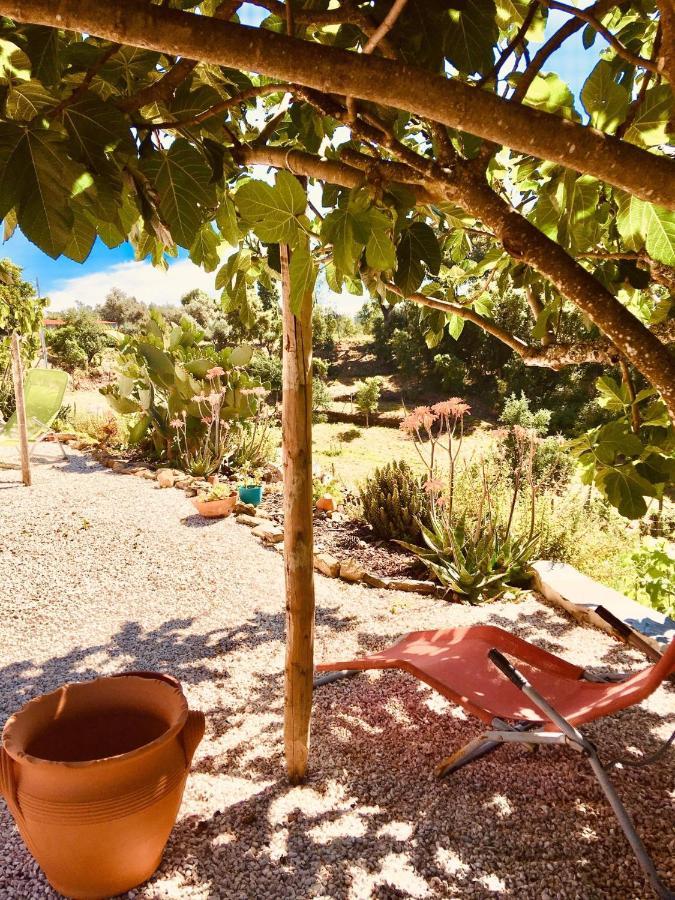 Quinta Quatro Ventos Bed and Breakfast Sertã Eksteriør billede