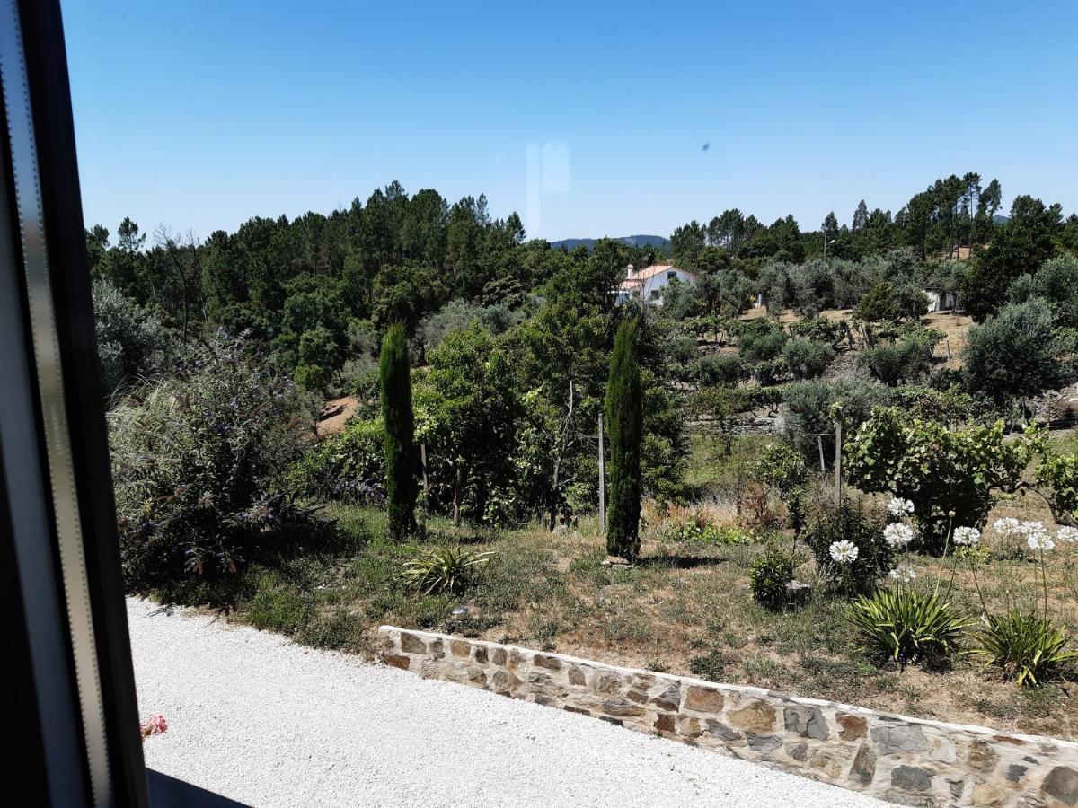 Quinta Quatro Ventos Bed and Breakfast Sertã Eksteriør billede