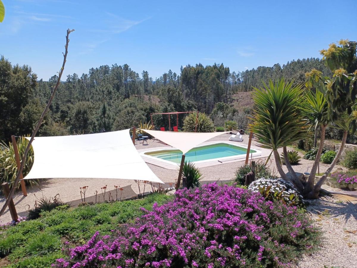 Quinta Quatro Ventos Bed and Breakfast Sertã Eksteriør billede