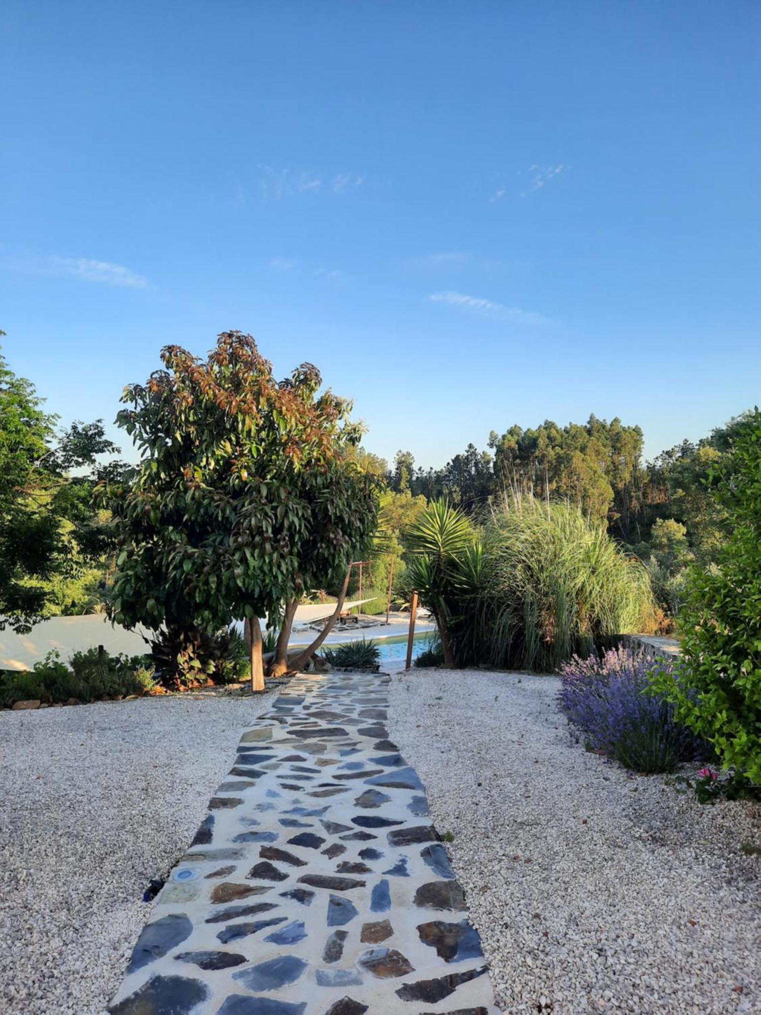 Quinta Quatro Ventos Bed and Breakfast Sertã Eksteriør billede